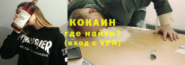 ГАЛЛЮЦИНОГЕННЫЕ ГРИБЫ Абаза
