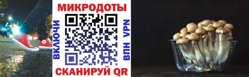Галлюциногенные грибы Magic Shrooms Нестеровская